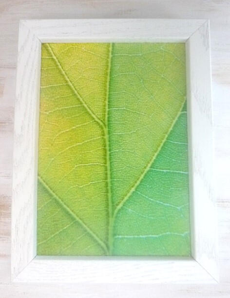 Forest Leaf 6x8 Frame