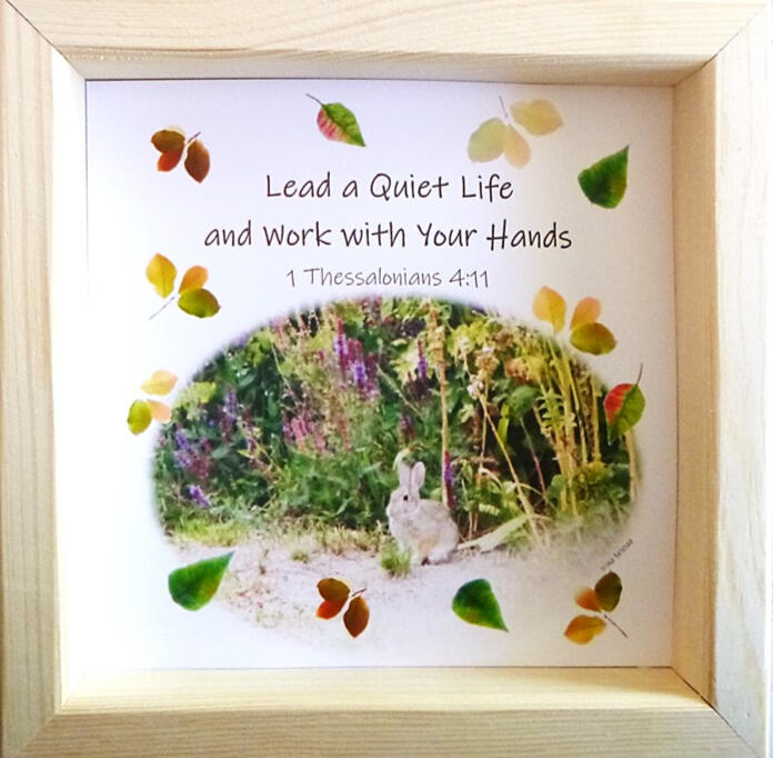 Woodland Bunny 6x6 Frame