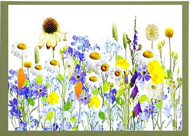 Summer Meadow Frameable Card