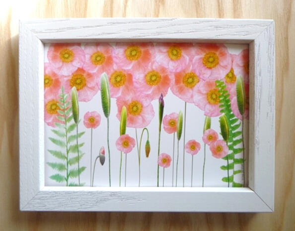 Wild Icelandic Poppies 6x8 Frame