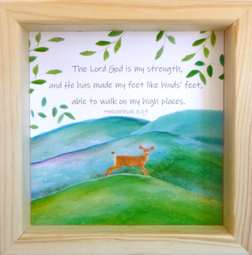 Mountain Deer 6x6 Frame