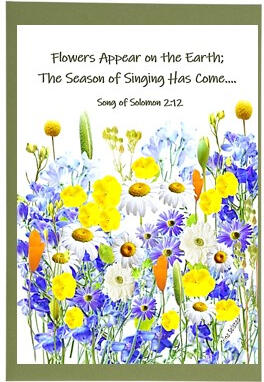 Meadow Blooms Frameable Card