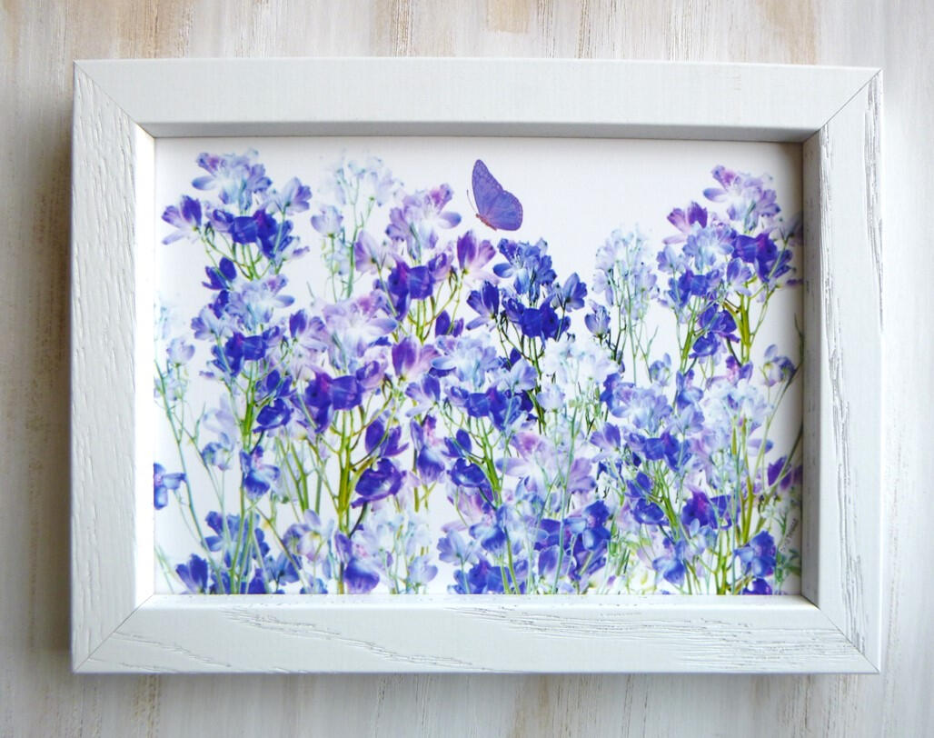 Delphiniums 6x8 Frame