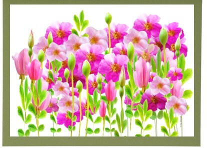 Wild Roses Frameable Card