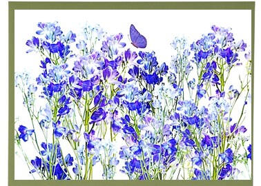 Delphiniums Frameable Card
