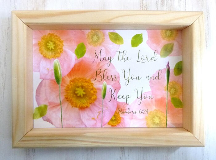 Icelandic Poppies 6x8 Frame