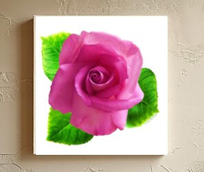 Pink Rose 4x4 print on wood panel