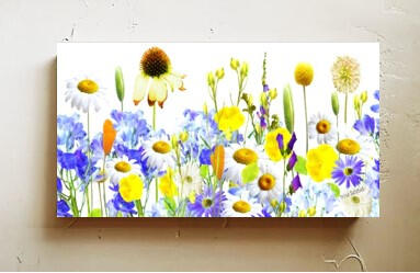 Summer Meadow 3x6 print on wood panel