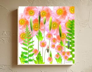 Wild Icelandic Poppies 4x4 on wood panel
